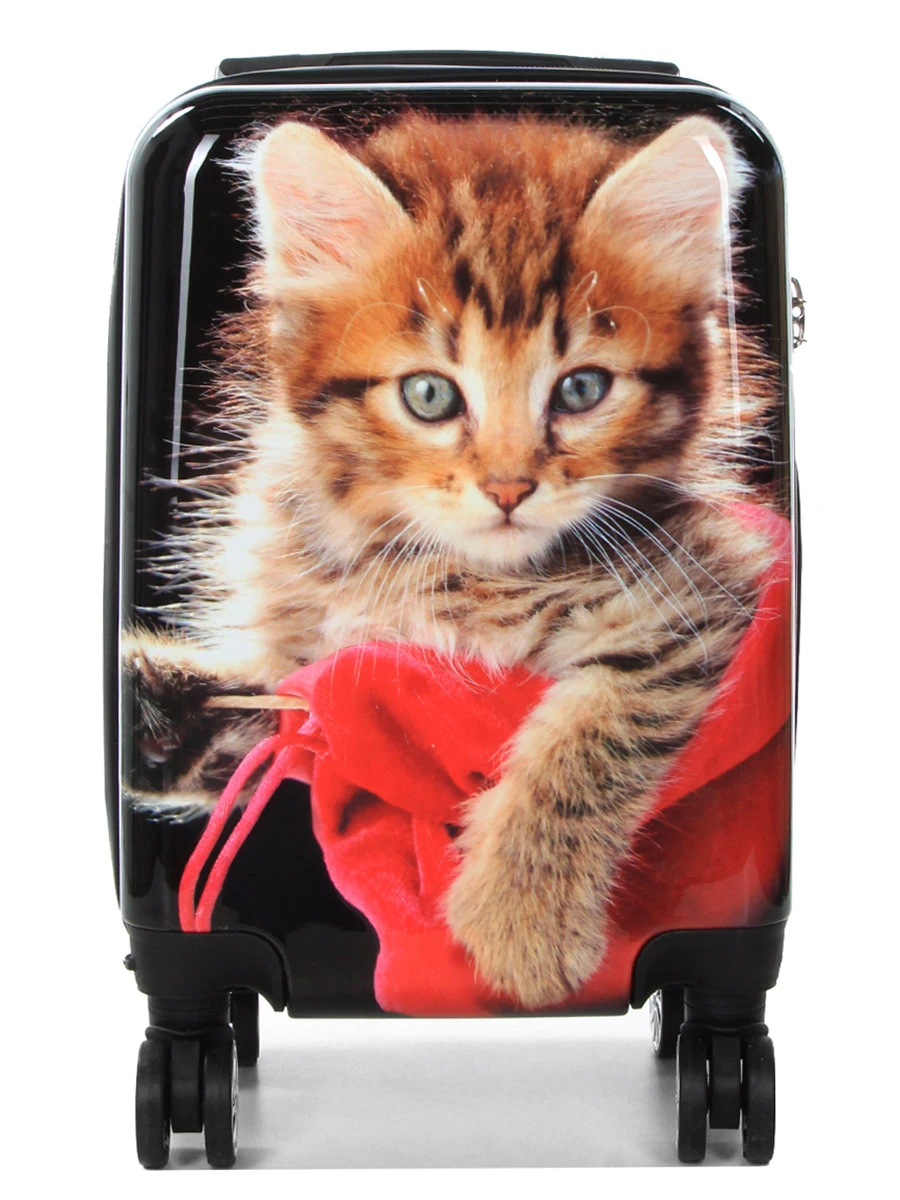 Ensemble 4 Valises Madisson Chaton 3 Ensemble 4 Valises Madisson Chaton – Image 3