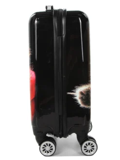 Ensemble 4 Valises Madisson Chaton 25 Ensemble 4 Valises Madisson Chaton -Delsey Valises Boutique ensemble valise madisson 842954z