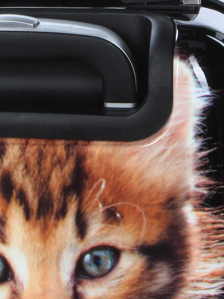 Ensemble 4 Valises Madisson Chaton 16 Ensemble 4 Valises Madisson Chaton – Image 16