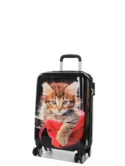 Ensemble 4 Valises Madisson Chaton 38 Ensemble 4 Valises Madisson Chaton -Delsey Valises Boutique ensemble valise madisson 842966z