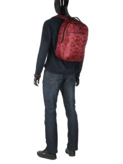 Sac à Dos Delsey Citypak Dome 27 Sac à Dos Delsey Citypak Dome -Delsey Valises Boutique sac dos delsey 759007z