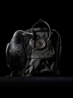FJÄLLRÄVEN Sac à Dos Fjällräven Kanken N°2 Mini Black -Delsey Valises Boutique sac dos fjallraven 799924z