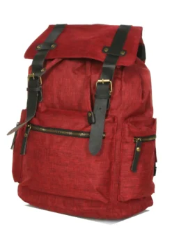 Sac à Dos Kinston Casual -Delsey Valises Boutique sac dos kinston 734829z