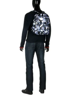 Sac à Dos Kinston Loisirs Shapes -Delsey Valises Boutique sac dos kinston 735196z