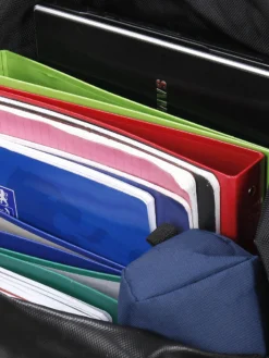 Sac à Dos Lys Cincinnati Dome 22 Sac à Dos Lys Cincinnati Dome -Delsey Valises Boutique sac dos lys 745008z