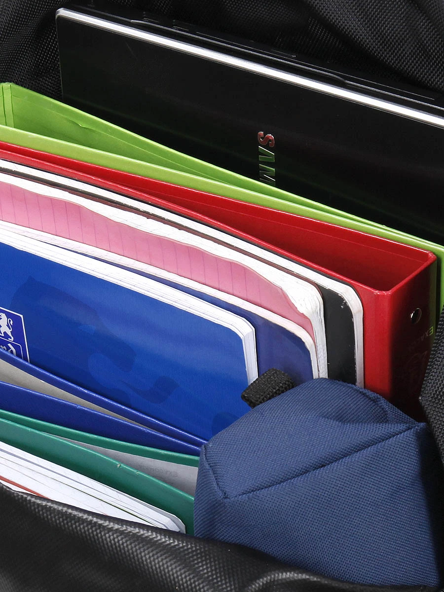 Sac à Dos Lys Cincinnati Dome 9 Sac à Dos Lys Cincinnati Dome – Image 9