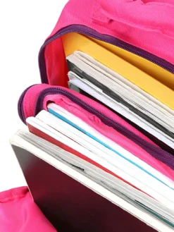 Sac à Dos Philéas Wild Zebre -Delsey Valises Boutique sac dos phileas 866991z