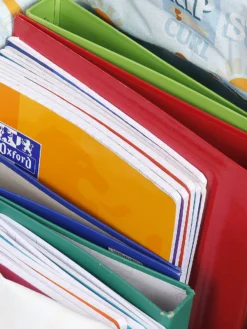 Sac à Dos Rip Curl Eco Island Life Dome + Trousse -Delsey Valises Boutique sac dos rip curl 760776z