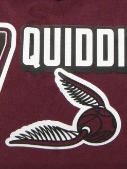 Sac Harry Potter Quidditch 48 Cm -Delsey Valises Boutique sac voyage dessins animes 820214z