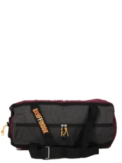 Sac Harry Potter Quidditch 48 Cm -Delsey Valises Boutique sac voyage dessins animes 820218z