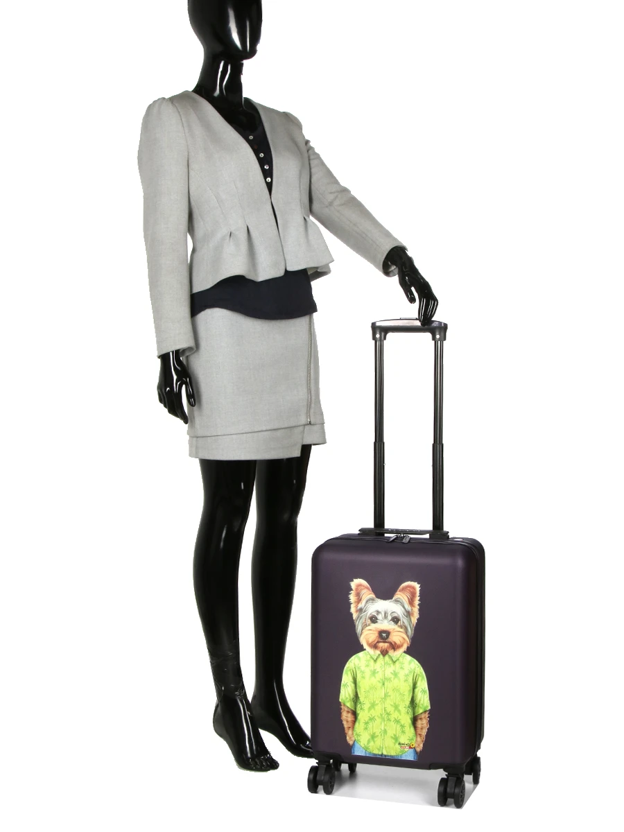 Valise Aérial Pet Shop Yorkshire 55 Cm 14 Valise Aérial Pet Shop Yorkshire 55 Cm – Image 14