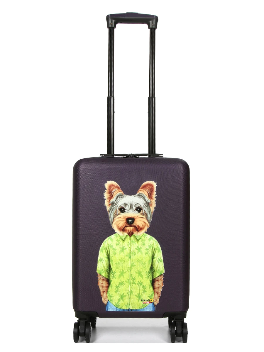 Valise Aérial Pet Shop Yorkshire 55 Cm 2 Valise Aérial Pet Shop Yorkshire 55 Cm – Image 2