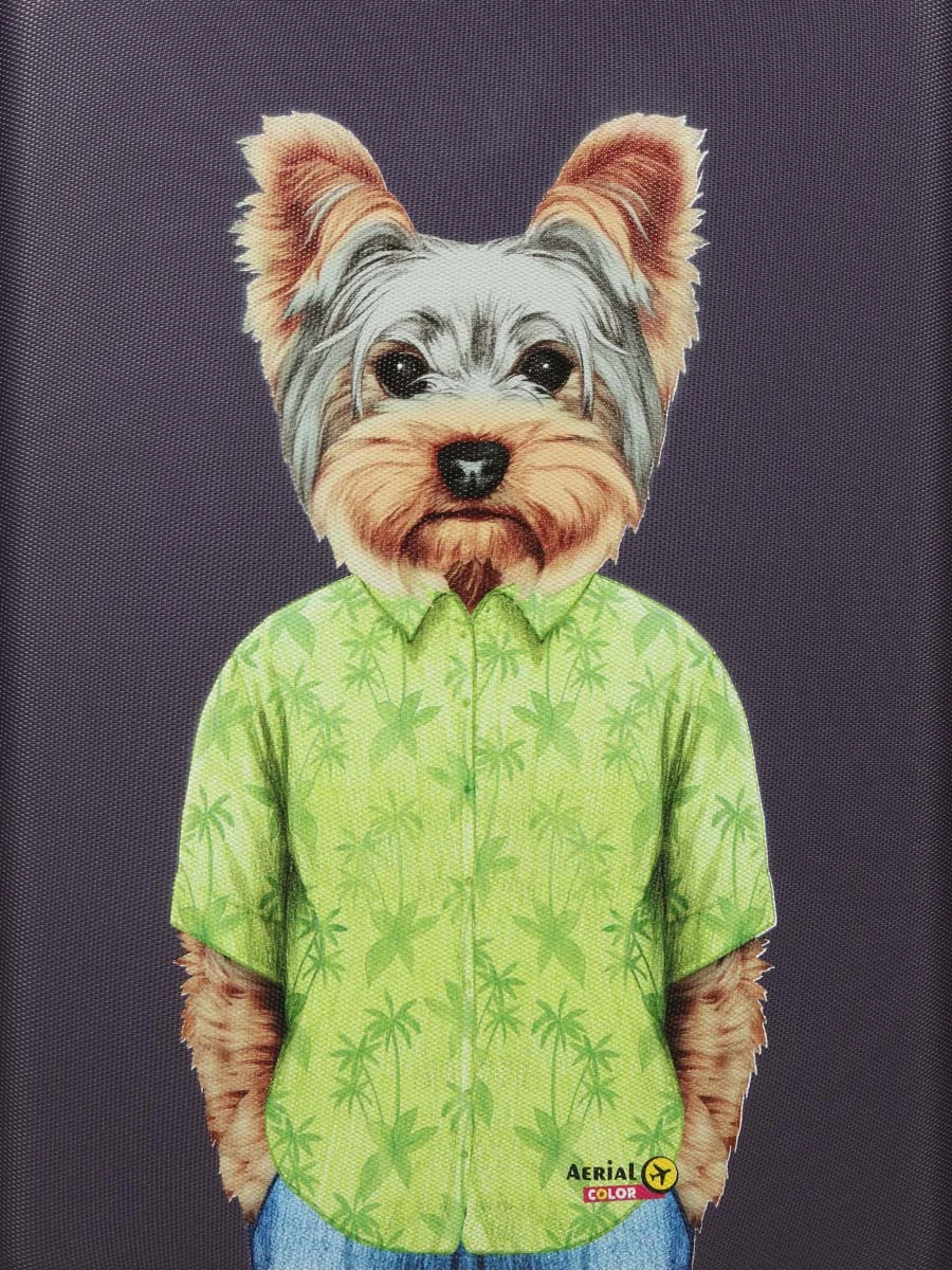 Valise Aérial Pet Shop Yorkshire 55 Cm 13 Valise Aérial Pet Shop Yorkshire 55 Cm – Image 13